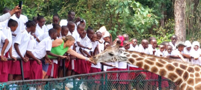 Smiling students feed a giraffe at the Haller Park zoo
