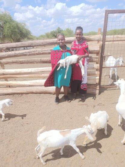 Rina our Masai pupil with goats at home