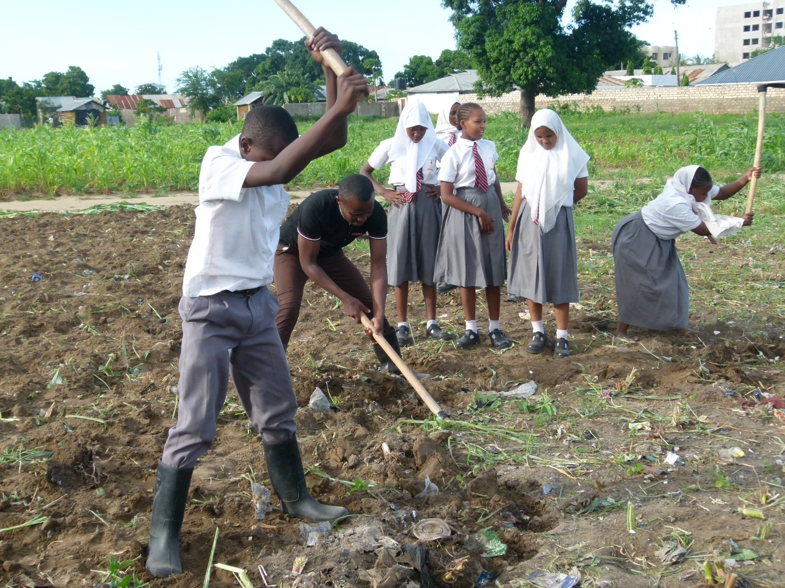 Learning All About Agriculture And Promoting Self sustainability 